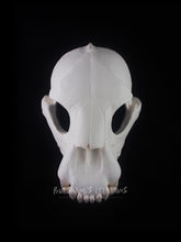 Load image into Gallery viewer, Bear Skull Mask - Full