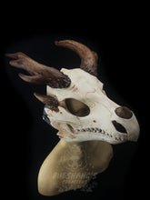 Load image into Gallery viewer, Dragon Skull Mask - Full - Antler Horns