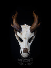 Load image into Gallery viewer, Dragon Skull Mask - Full - Antler Horns