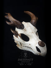 Load image into Gallery viewer, Dragon Skull Mask - Full - Antler Horns