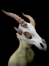 Load image into Gallery viewer, Dragon Skull Mask - Half - Original Horns