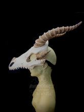 Load image into Gallery viewer, Dragon Skull Mask - Half - Original Horns