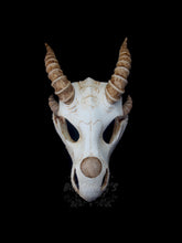 Load image into Gallery viewer, Dragon Skull Mask - Half - Original Horns