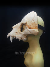 Load image into Gallery viewer, Hyena Skull Mask - Half