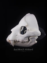 Load image into Gallery viewer, Bear Skull Mask - Full