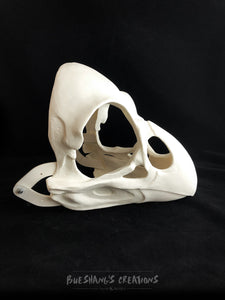 Bird Skull Mask
