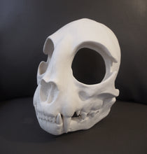 Load image into Gallery viewer, Cat Skull Mask - Full