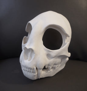 Cat Skull Mask - Full