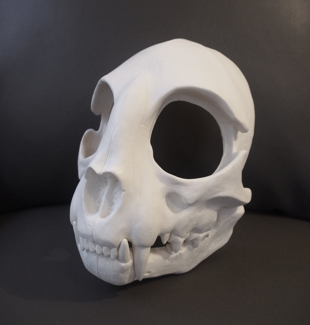 Cat Skull Mask - Full