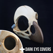 Load image into Gallery viewer, Bird Skull Mask