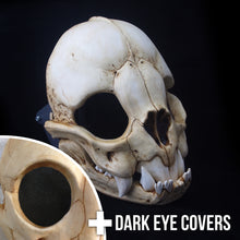 Load image into Gallery viewer, Vampire Bat Skull Mask - Full