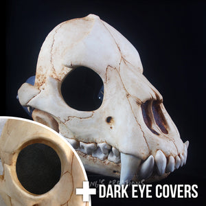 Bear Skull Mask - Full