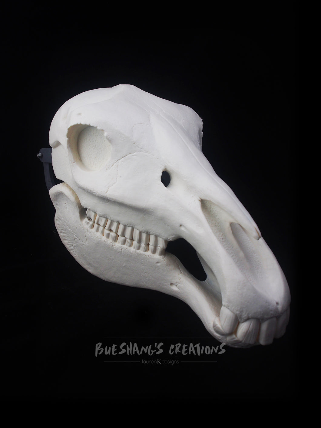 Horse Skull Mask - Full