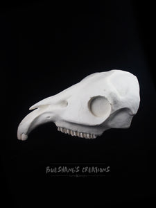 Horse Skull Mask - Half