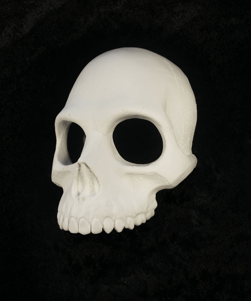 Human Skull Mask - Half