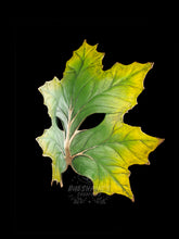 Load image into Gallery viewer, Leaf Mask