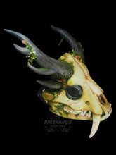 Load image into Gallery viewer, OOAK Forest Spirit Skull Mask