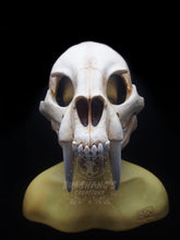 Load image into Gallery viewer, Sabertooth Skull Mask - Full