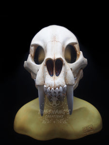 Sabertooth Skull Mask - Full