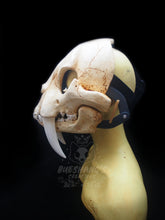 Load image into Gallery viewer, Sabertooth Skull Mask - Full