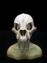 Load image into Gallery viewer, Sabertooth Skull Mask - Half