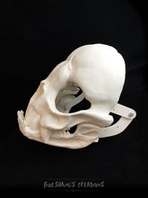 Load image into Gallery viewer, Vampire Bat Skull Mask - Full - Unpainted Blank