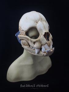 Vampire Bat Skull Mask - Full