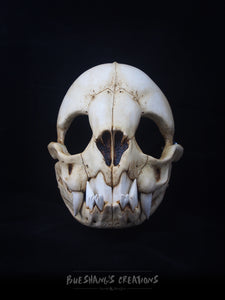 Vampire Bat Skull Mask - Full