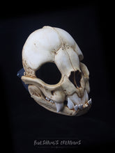 Load image into Gallery viewer, Vampire Bat Skull Mask - Full