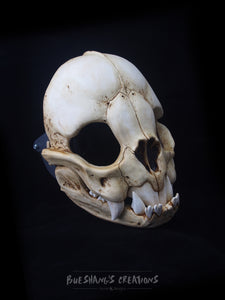 Vampire Bat Skull Mask - Full