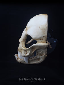 Vampire Bat Skull Mask - Full