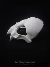 Load image into Gallery viewer, Vampire Bat Skull Mask - Half - Unpainted Blank