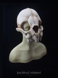 Vampire Bat Skull Mask - Half