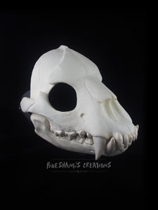 Bear Skull Mask - Full - Unpainted Blank