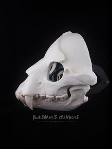 Hyena Skull Mask - Full - Unpainted Blank