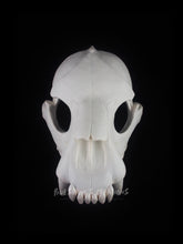 Load image into Gallery viewer, Hyena Skull Mask - Half - Unpainted Blank