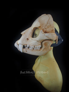 Bear Skull Mask - Full