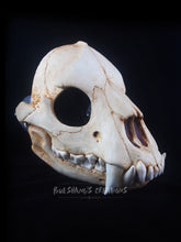 Load image into Gallery viewer, Bear Skull Mask - Full