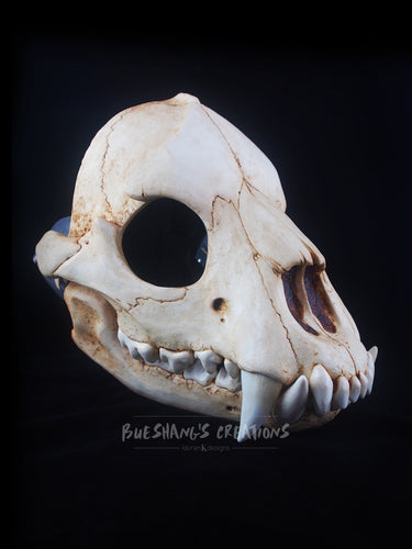 Bear Skull Mask - Full