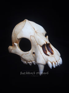 Bear Skull Mask - Half