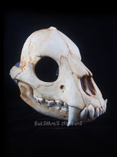 Load image into Gallery viewer, Hyena Skull Mask - Full