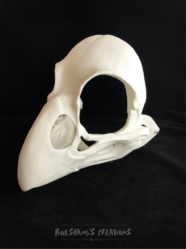 Bird Skull Mask - Unpainted Blank