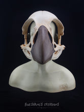 Load image into Gallery viewer, Bird Skull Mask