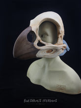 Load image into Gallery viewer, Bird Skull Mask