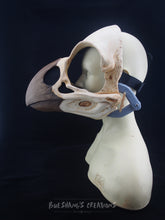 Load image into Gallery viewer, Bird Skull Mask