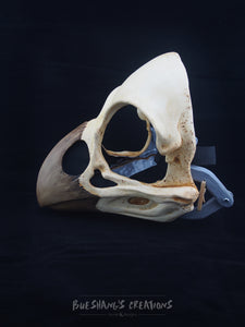 Bird Skull Mask