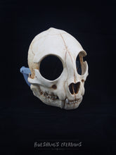 Load image into Gallery viewer, Cat Skull Mask - Full