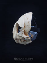 Load image into Gallery viewer, Cat Skull Mask - Full