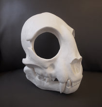 Load image into Gallery viewer, Cat Skull Mask - Full - Unpainted Blank