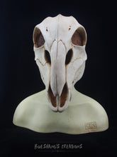 Load image into Gallery viewer, Deer Skull Mask